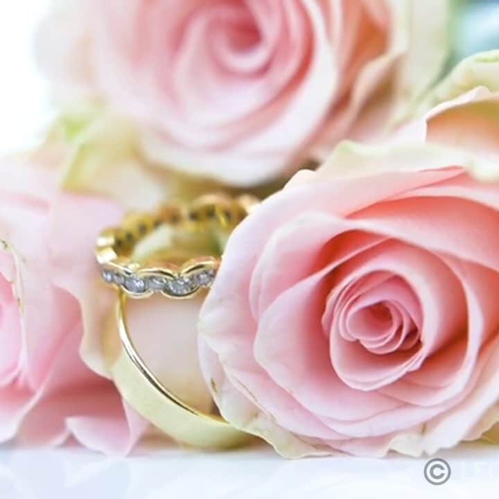 Roses and Rings SD